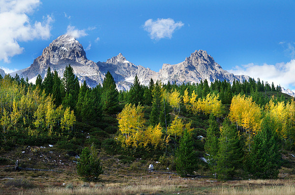 Grand Tetons