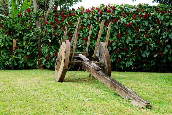 Ox cart in Costa Rica