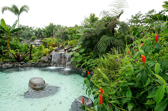 Some of the beautiful flower gardens surrounding the Arenal Springs Resort near La Fortuna, Costa Rica