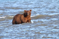Alaska - 2015