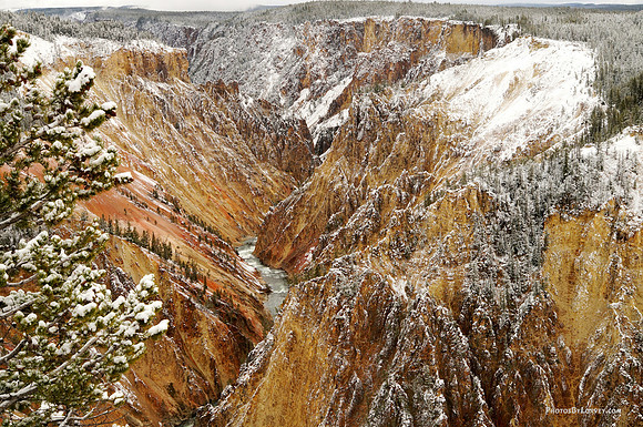 Yellowstone Grand Canyon