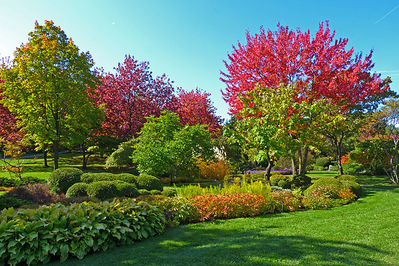 Montreal Botanical Garden
