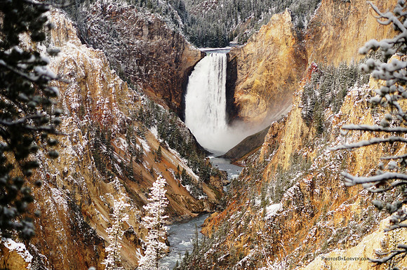 Lower Falls - Yellowstone