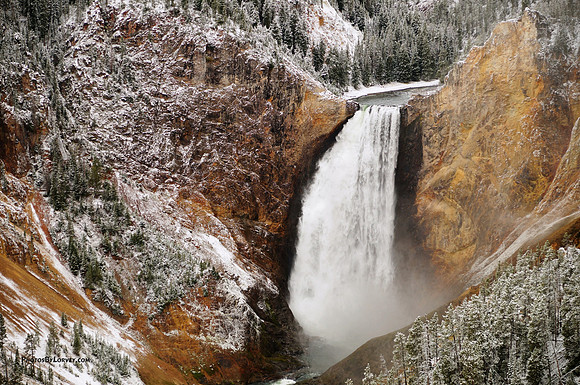 Lower Falls - Yellowstone