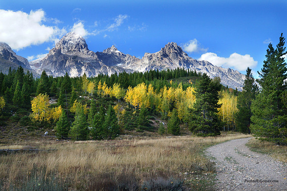 Grand Tetons