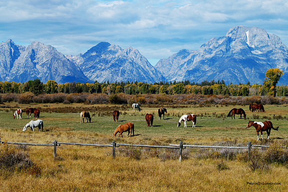 Grand Tetons