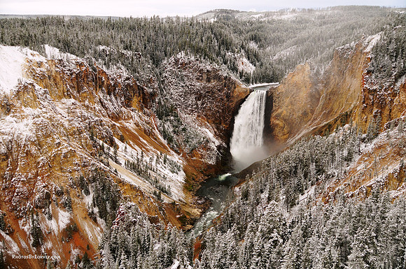 Lower Falls - Yellowstone