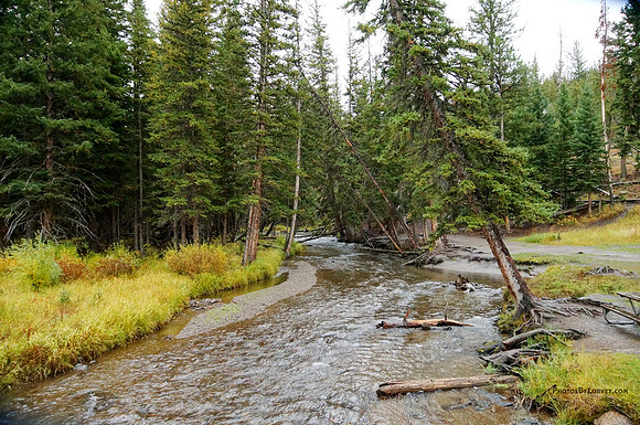 Lava Creek - Yellowstone