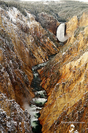 Lower Falls - Yellowstone