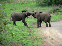 South Africa